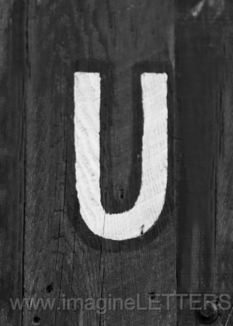 Wall_Art_Alphabet_Photography_Art_ 2266.jpg